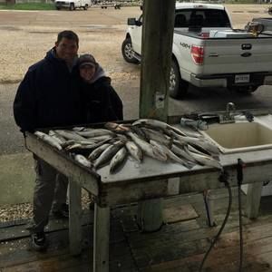 Meet your Posher, Eric janna